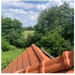 opieka seniora - zdjęcie ogłoszenia Lesznowola, woj. mazowieckie - poszukiwana opiekunka
