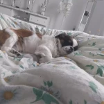 opieka seniora - zdjęcie profilowe użytkownika Zaneta K.