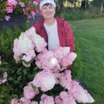 opieka seniora - zdjęcie profilowe użytkownika Nataliia K.