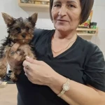 opieka seniora - zdjęcie profilowe użytkownika Joanna T.