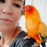 opieka seniora - zdjęcie profilowe użytkownika Paulina X.