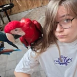 opieka seniora - zdjęcie profilowe użytkownika Kacper B.