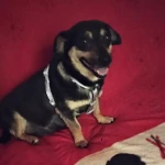 opieka seniora - zdjęcie profilowe użytkownika Barbara S.