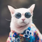 opieka seniora - zdjęcie profilowe użytkownika Danuta P.