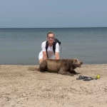 opieka seniora - zdjęcie ogłoszenia Szukam osoby do pomocy w opiece