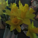 opieka seniora - zdjęcie profilowe użytkownika Karina J.