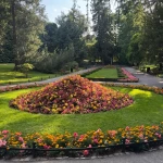 opieka seniora - zdjęcie ogłoszenia Potrzebna pomoc przy opiece