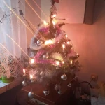 opieka seniora - zdjęcie profilowe użytkownika Emilia K.