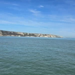 opieka seniora - zdjęcie ogłoszenia Szukam doświadczonej osoby do opieki