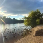 opieka seniora - zdjęcie profilowe użytkownika Dominika G.