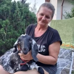 opieka seniora - zdjęcie profilowe użytkownika Iwona S.