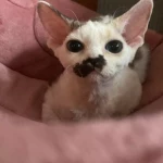 opieka seniora - zdjęcie profilowe użytkownika Aleksander M.