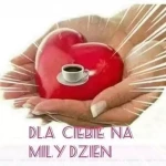 opieka seniora - zdjęcie profilowe użytkownika Janusz F.