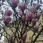 opieka seniora - zdjęcie profilowe użytkownika Ania S.