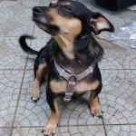 opieka seniora - zdjęcie profilowe użytkownika Basia A.