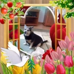 opieka seniora - zdjęcie profilowe użytkownika Henryka K.