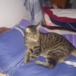 opieka seniora - zdjęcie profilowe użytkownika Bogusława B.