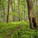 opieka seniora - zdjęcie ogłoszenia Szukam opieki dla młodej osoby niepełnosprawnej