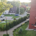 opieka seniora - zdjęcie ogłoszenia Katowice, Brynów - opiekun seniora