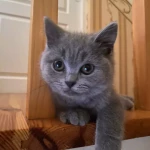 opieka seniora - zdjęcie profilowe użytkownika Monika A.
