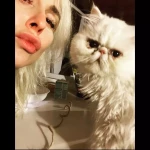 opieka seniora - zdjęcie profilowe użytkownika Patrycja F.
