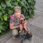 opieka seniora - zdjęcie profilowe użytkownika Teresa B.