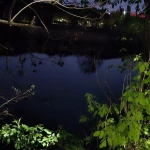 opieka seniora - zdjęcie ogłoszenia Szukam doświadczonej osoby do opieki