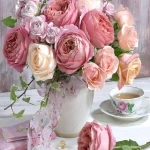 opieka seniora - zdjęcie ogłoszenia Poszukiwana opiekunka osoby starszej Gdańsk