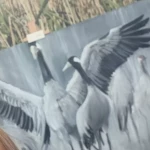 opieka seniora - zdjęcie ogłoszenia Szukam opieki do osoby starszej Łyski, gm. Choroszcz, woj. podlaskie