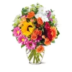 opieka seniora - zdjęcie ogłoszenia Potrzebna pomoc przy opiece