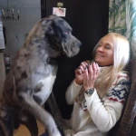 opieka seniora - zdjęcie profilowe użytkownika Katarzyna O.