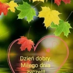 opieka seniora - zdjęcie profilowe użytkownika Anna S.