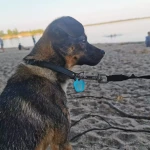 opieka seniora - zdjęcie profilowe użytkownika Halina M.