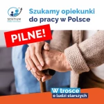 Praca dla opiekuna