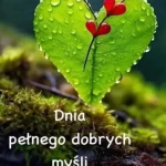 opieka seniora - zdjęcie profilowe użytkownika Małgorzata K.