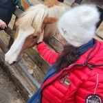 opieka seniora - zdjęcie profilowe użytkownika Małgorzata K.