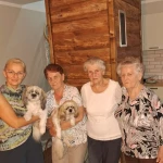 opieka seniora - zdjęcie profilowe użytkownika Viktoriya M.