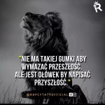 opieka seniora - zdjęcie profilowe użytkownika Monika O.