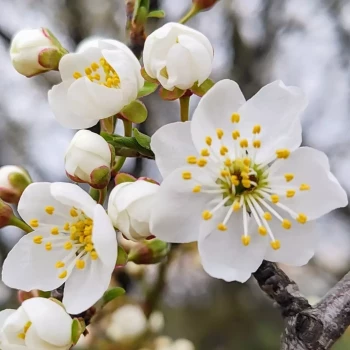 Opiekun: Katarzyna D.