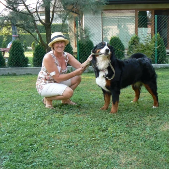 Opiekun: Danuta W.