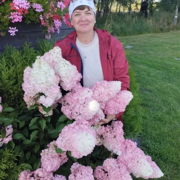 Opiekun: Nataliia K.