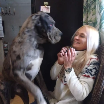 Opiekun: Katarzyna O.