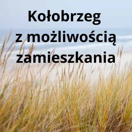 Szukam: Edyta P.