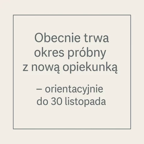 Szukam: Iwona K.