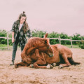 zdjęcie 4