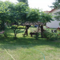 zdjęcie 3