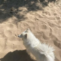 zdjęcie 1