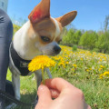 zdjęcie 4