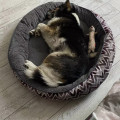 zdjęcie 4