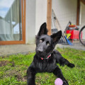zdjęcie 1